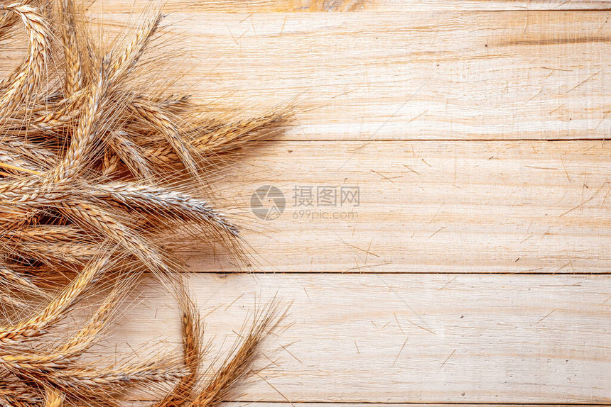 小麦黑大燕种子图片