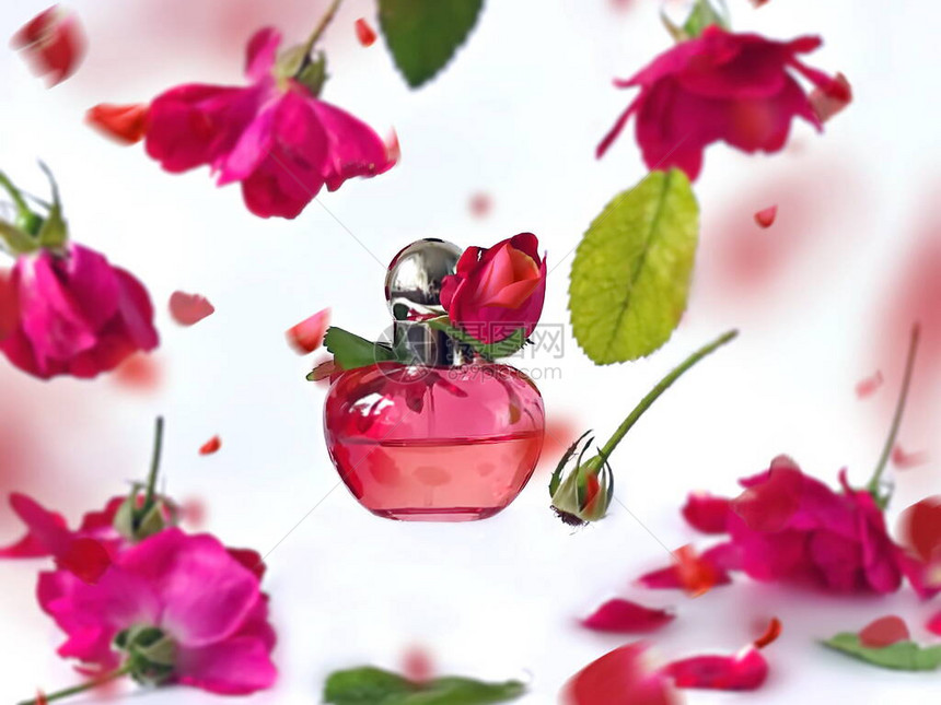 白色背景的香水和红玫瑰花朵和花图片