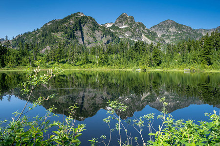 华盛顿州MtBaker娱乐区图象湖和MtS背景