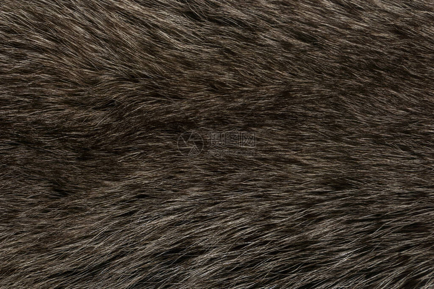 天然动物毛皮背景纹理图片
