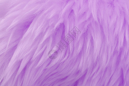 粉色动物羊毛纹理背景玫瑰罐状天然羊毛紧贴图片