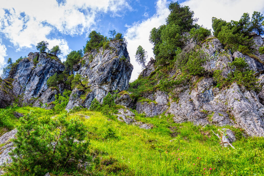 来自瑞士阿尔卑斯山著名的霍赫伊布里格地区的一些夏季远足印象图片