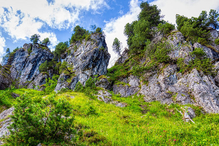 来自瑞士阿尔卑斯山著名的霍赫伊布里格地区的一些夏季远足印象背景图片