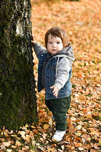 一个幼儿站在秋天公园一棵树附近图片