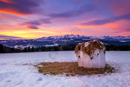 在日出期间的美好的冬天风景图片