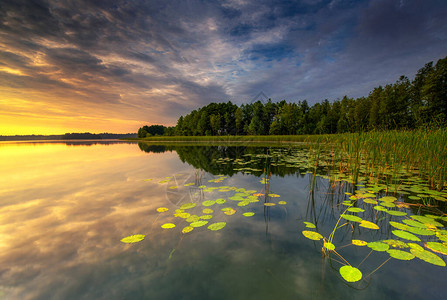 在湖的美丽的夏天日落图片