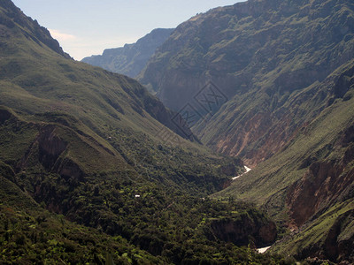 阿雷基帕秘鲁绿山与田图片