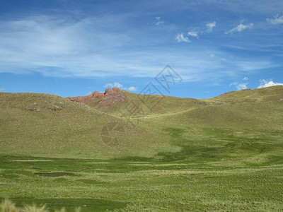 靠近阿雷基帕秘鲁Pampa的Green图片