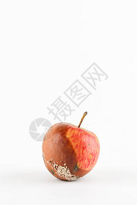 白底的烂苹果全球饥饿问题过度消费概念图片