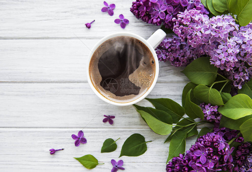 丁香和杯咖啡在白色木制背景上的平面样式美丽的春天俯视图平躺图片