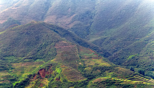 越南TonkineseAlpsSapa山丘农村地区图片