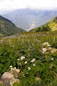 阿尔卑斯山草甸宁静的夏日景色山谷村庄景观夏天山村景色山中的村庄图片