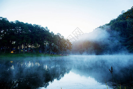 Pangoung水库在冬天的早晨有雾图片