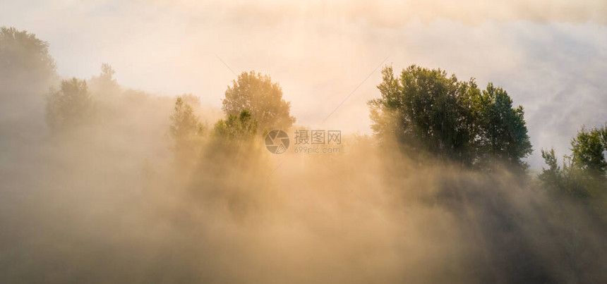 清晨风景福吉河黎明雾中河谷日出图片