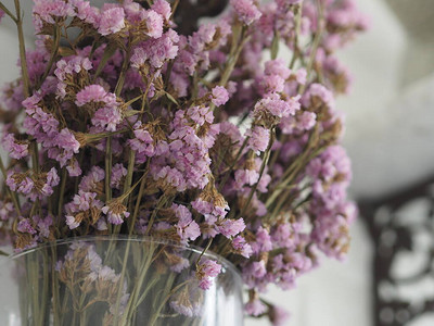 干燥的静态花朵柔软粉色清晰玻璃花瓶陈年风格紫色前背景写图片