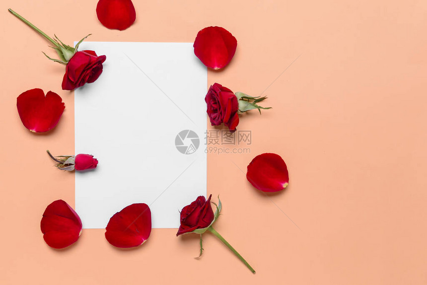 美丽的玫瑰花瓣和关于彩色图片