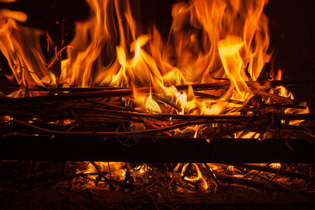 营火特写露营的户外夜晚森林火灾或野火图片