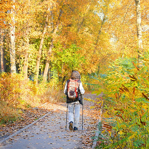 带着背包的人在秋天的森林里行走在森林路上图片