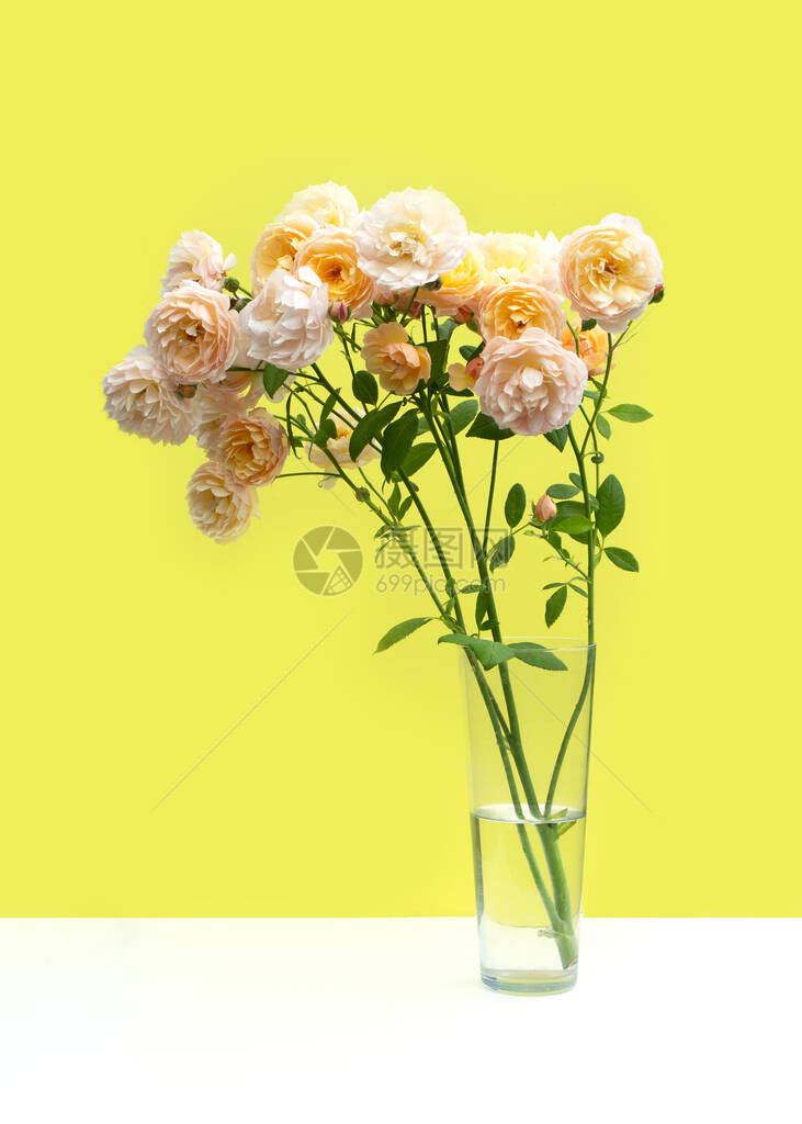 彩色黄背景的透明玻璃花瓶中的粉红玫瑰花束创用图片