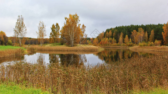 俄罗斯秋天公园湖面和水中的反光在俄罗图片