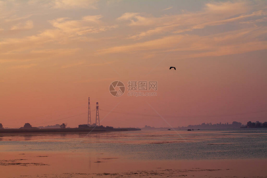 河上清晨芦苇薄雾河上水面图片