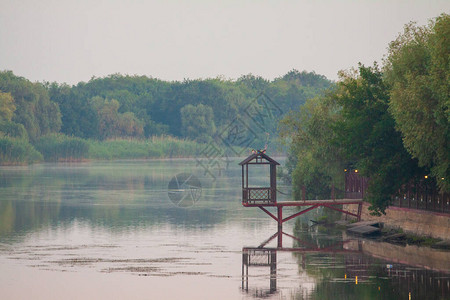 河上清晨芦苇薄雾河上水面高清图片