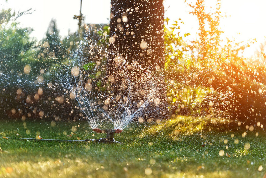 在草坪上安装不同旋转喷头的景观自动花园浇水系统日落时用智能自动喷雾器灌溉草坪和果图片
