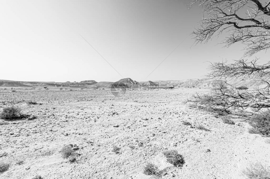 以色列沙漠中黑白相间的岩层令人叹为观止的景观作为孤独绝望和抑郁的概念的死气沉图片