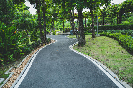 公园阴天时期的道路图片