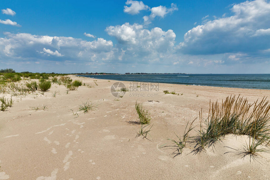 乌克兰Prymorske附近的野生海滩景观黑海靠近多瑙河三角洲和多瑙河图片