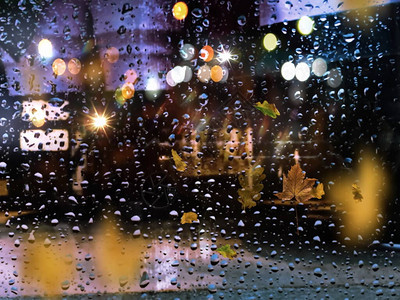 城市黄叶秋天雨之夜图片