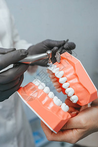 牙医的手握着人类下巴的模范把塔拿图片