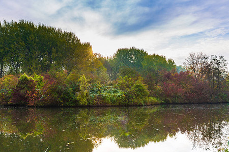 清晨秋天的风景水边五颜六色的树图片