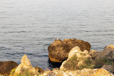 海边有岩石和头图片