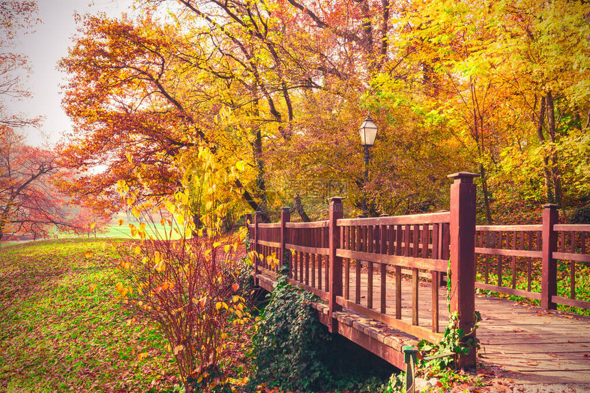 秋天公园的桥梁秋季风景图片