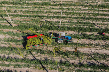 实地空中观察的农业工图片