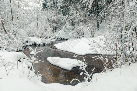 白雪皑的冬季森林和流动的河流森林图片