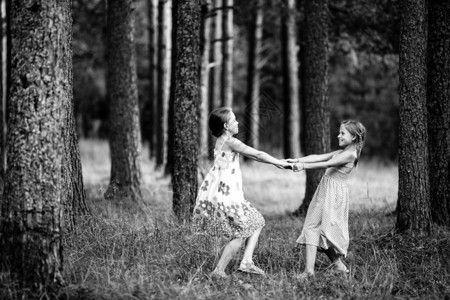 两个小女孩在松林里握手黑白相图片