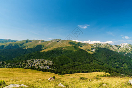 罗马尼亚瓦尔坎山奥斯莱瓦山草甸上的戈德亚努和雷塔扎图尔米克图片
