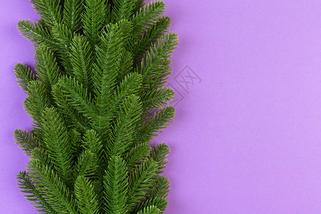 由fir树枝制作的彩色节日背景最佳视图图片