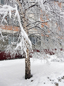 有选择地聚焦在雪瀑下图片