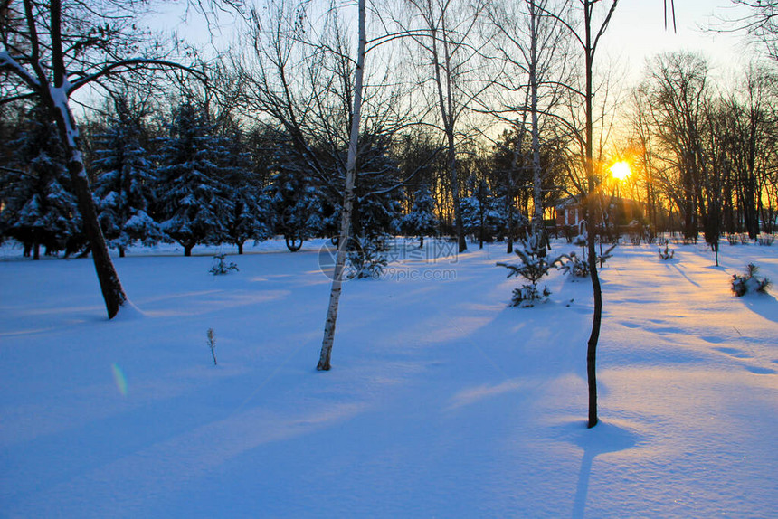 冬季城市公园的日落图片