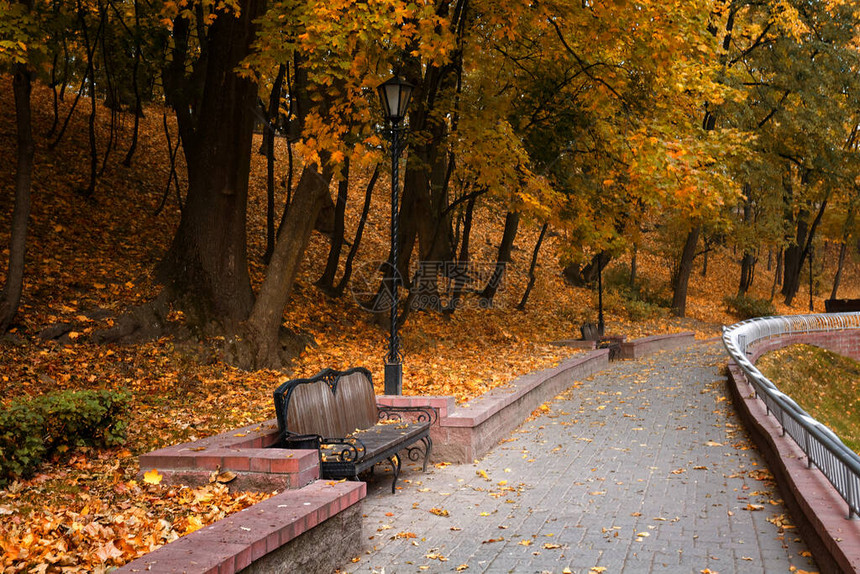 城市公园秋天风景2020年白图片