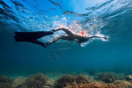 蓝海和太阳光线中比基尼滑翔的白金色自由潜水的瘦女人图片