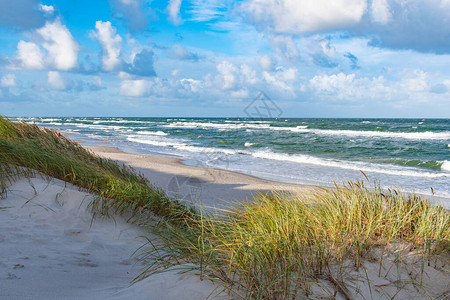 秋天或冬季有波浪的大海沙滩和沙丘清晨图片