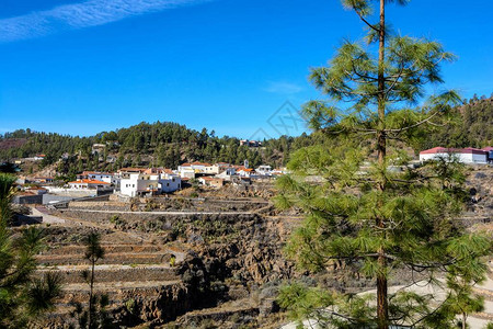 西班牙Tenerife美丽的山村ACONF1图片