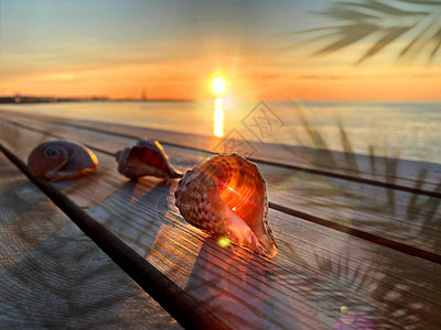 海太阳日落时的热带日落阳光照耀闪光图片