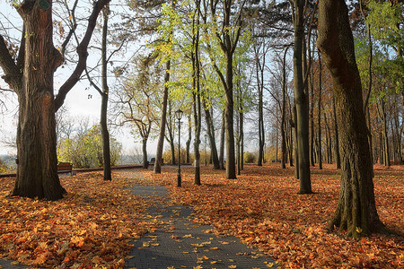 城市公园秋天风景2020年白图片