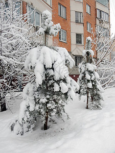 有选择地聚焦在雪瀑下图片