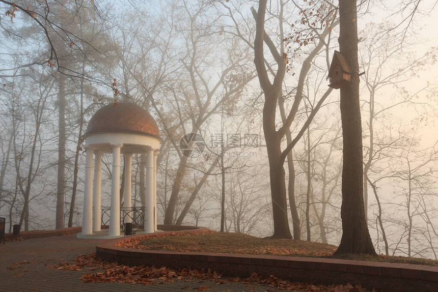 秋天雾中的白arbor白俄罗斯戈梅尔图片